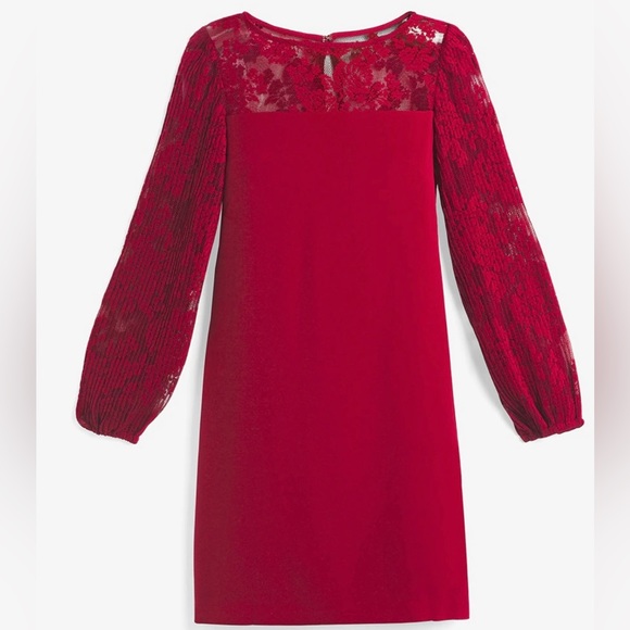 WHBM Red Pleated Lace Sleeve Shift Dress - Perfect for the Holidays!❤️ - Picture 3 of 4